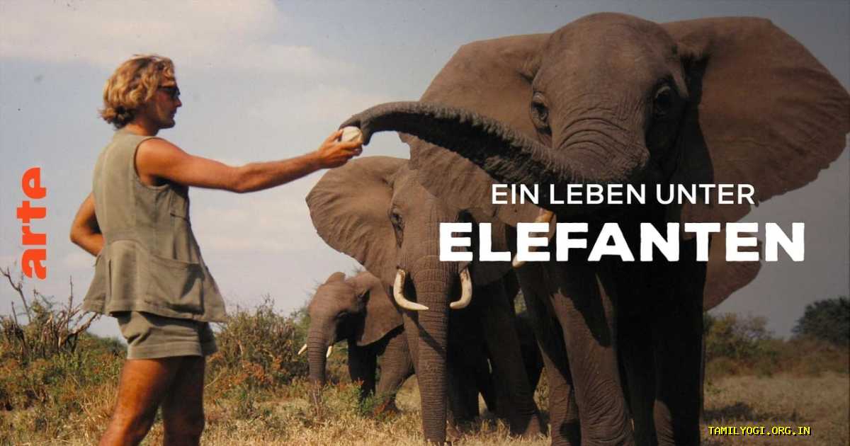 A Life Among Elephants Movie Ibommaonline